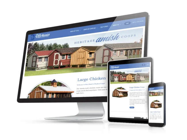 retail website design