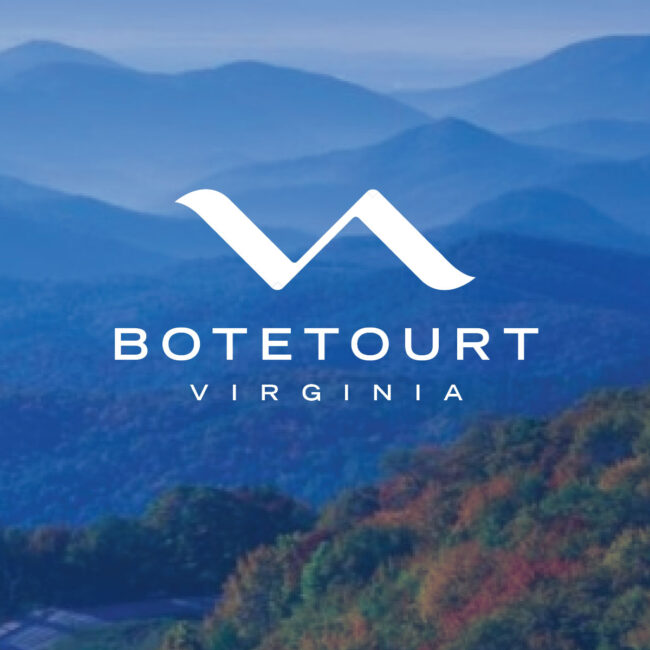 VA Logo