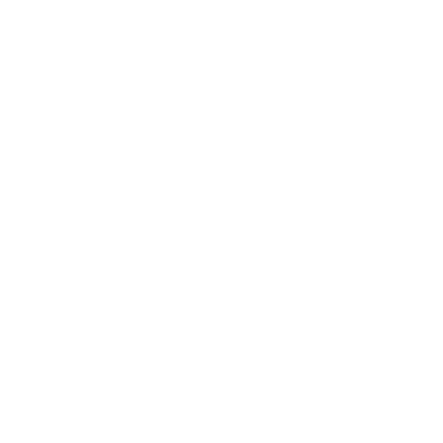 The Dallas Morning News logo